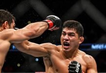 Top 10 Most Brutal Knockouts in UFC Fight Night History UFC Knockout Punch