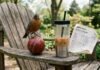 Global Cricket News: Major Events Shaping the Game An American robin perches on a scuffed cricket ball beside iced coffee and a scorecard on a wooden chair.