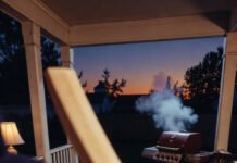 Player Stats: Top Cricket Performers in the World Right Now Chaotic cozy porch: cricket highlights, untouched yard, sunset vibes.