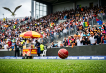 Cricket Match Updates Today: Biggest Games Happening Now A cricket ball bounces on green grass before a crowded stadium, featuring a photobombing seagull and a hotdog cart.