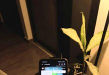 Latest Cricket News: Major Updates Every Fan Should Know From my couch: cricket app alerts, snack clutter, wilting houseplant