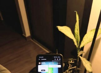Latest Cricket News: Major Updates Every Fan Should Know From my couch: cricket app alerts, snack clutter, wilting houseplant