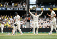 Cricket Gear Guide: Essential Equipment Every Player Needs Australian cricket player celebrates as England batsman walks off pitch, stumps scattered, at stadium match.