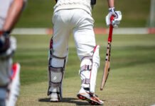 Cricket Gear Reviews: Top Equipment Used by Professionals Low-angle shot from boundary: batsman in pads and gloves poised at crease. (12 words)