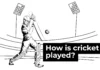 Cricket Match Updates Explained for New Fans How is cricket played? A simple illustrated guide | ICC Men's T20 World Cup News | Al Jazeera